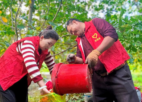 屏幕截图 2025-08-27 210417.png