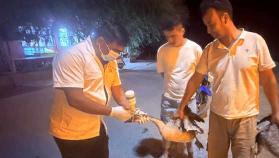 屏幕截图 2025-08-28 190151.png