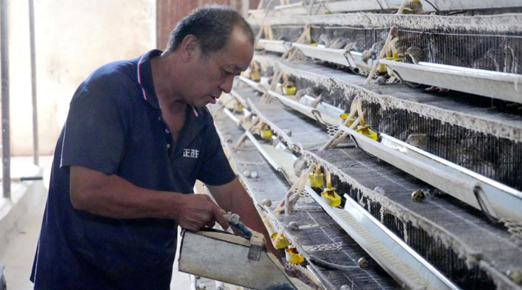 屏幕截图 2025-08-29 183138.png