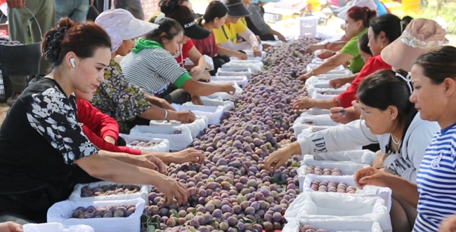 屏幕截图 2025-08-29 183245.png