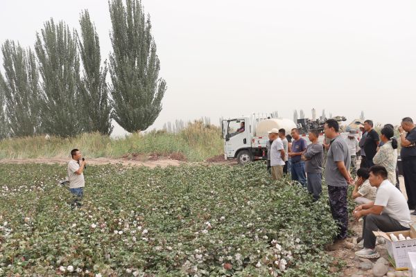 09051757068156211295.jpg IMG_7464.JPG