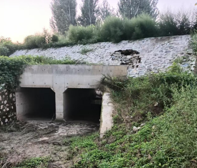 09071757256951749985.png screenshot-1757256007969.png