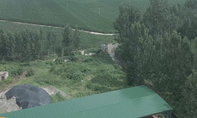 09071757257239618429.png screenshot-1757256081267.png