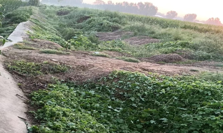 09071757257364649630.png screenshot-1757256177997.png