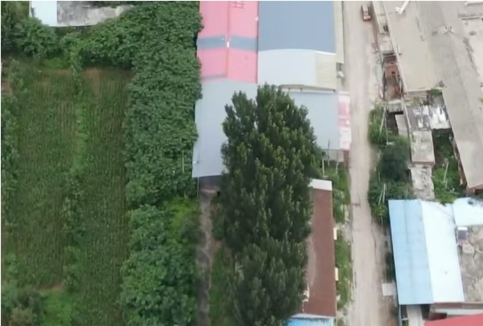 09071757257521561354.png screenshot-1757256274957.png