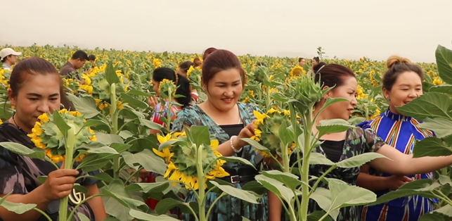 屏幕截图 2025-09-09 200153.png