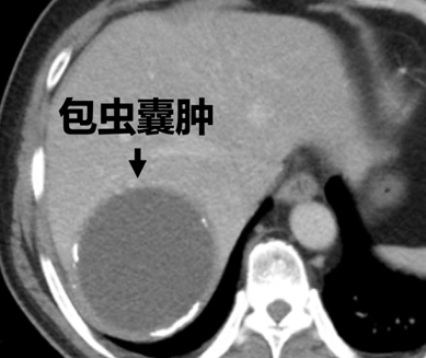 09111757586046601860.png 屏幕截图 2025-09-11 182020.png