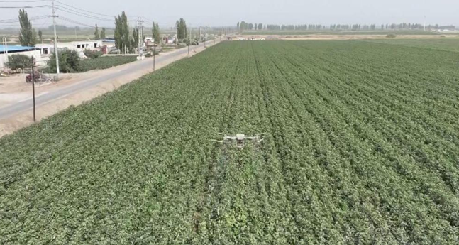 屏幕截图 2025-09-11 193802.png