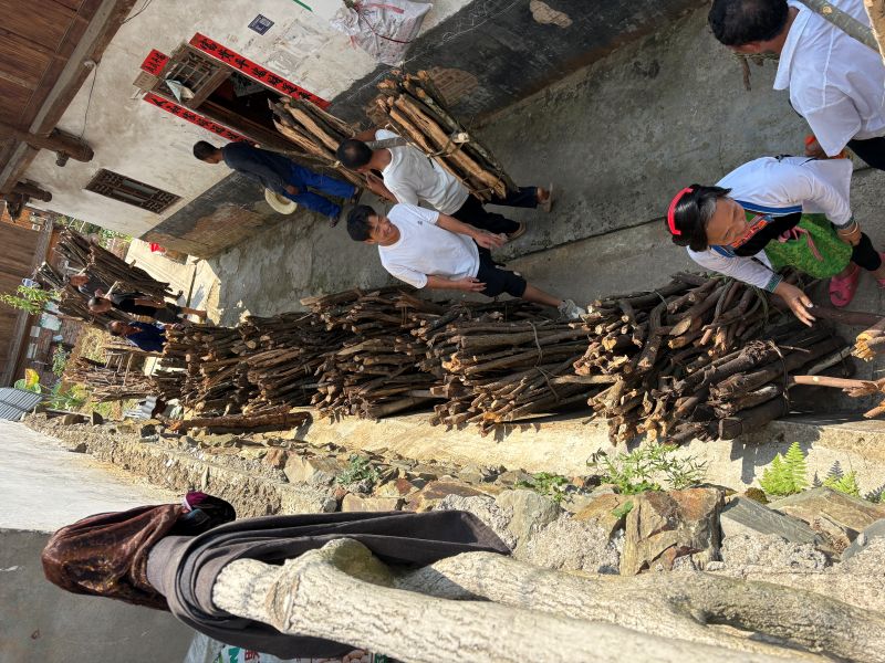 09111757594470304678.jpg 图为 挑送柴火(梁美芝 摄).jpg