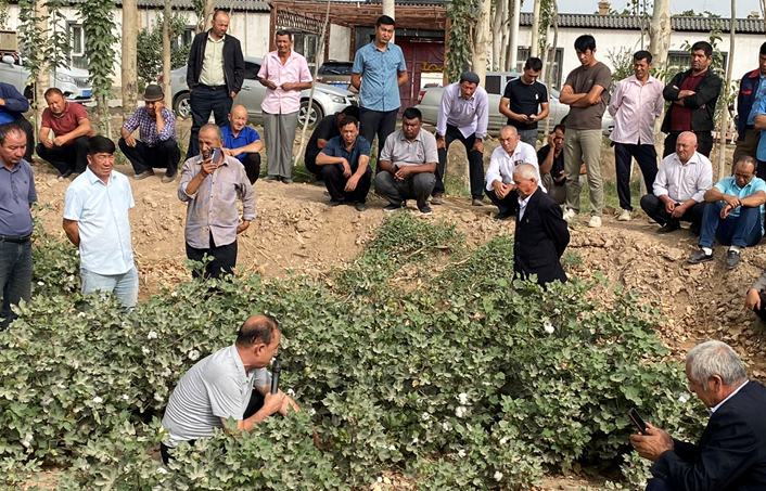 屏幕截图 2025-09-15 200833.png