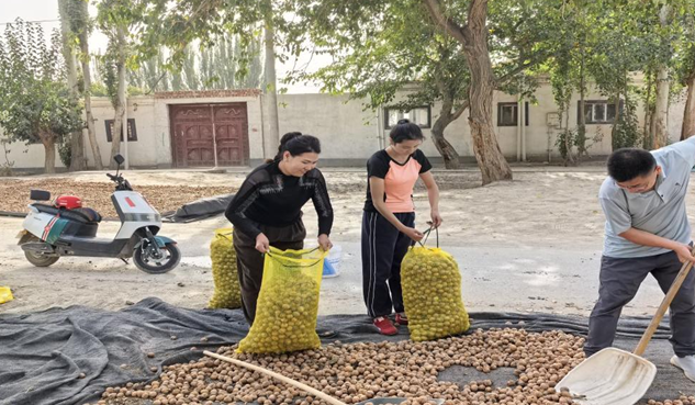 屏幕截图 2025-09-15 201053.png