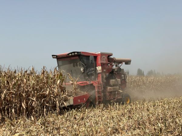 09151757941104532266.jpg 收割机收割、脱粒.JPG