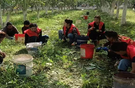 09151757945882259122.png 屏幕截图 2025-09-15 221735.png