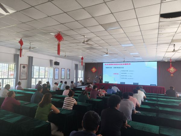 09161758025252156837.jpg 3.jpg