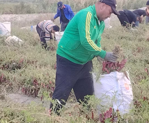 屏幕截图 2025-09-16 211142.png