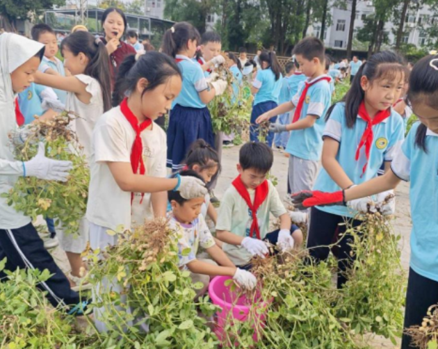 09171758105747236587.png 屏幕截图 2025-09-17 184216.png