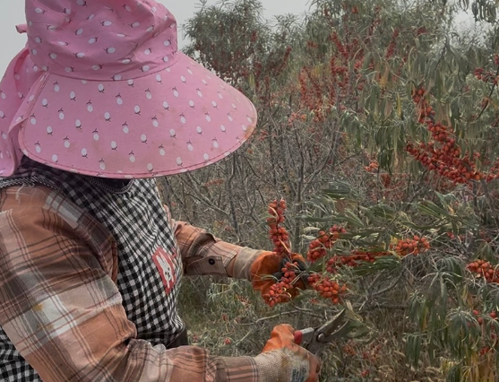 屏幕截图 2025-09-18 212407.png