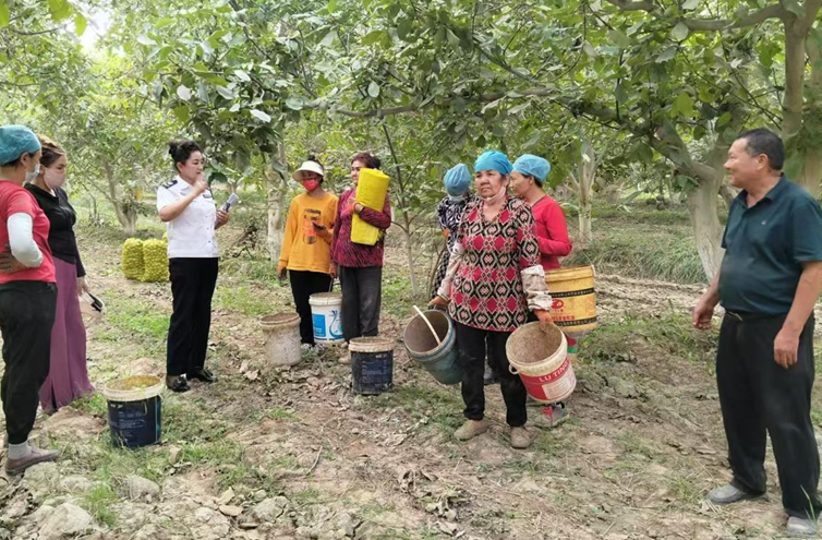 屏幕截图 2025-09-19 201216.png