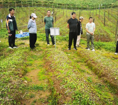 09241758714327875589.png 屏幕截图 2025-09-24 194518.png