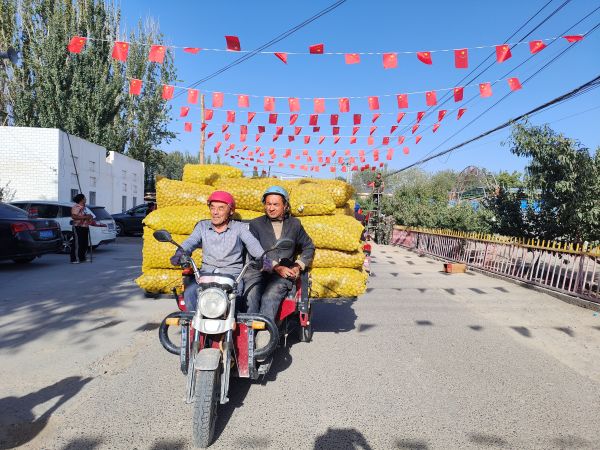 09241758716369551619.jpg 彩旗下的丰收.jpg