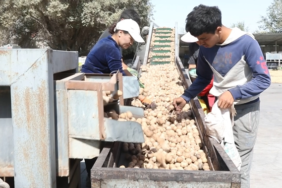 屏幕截图 2025-09-24 202909.png