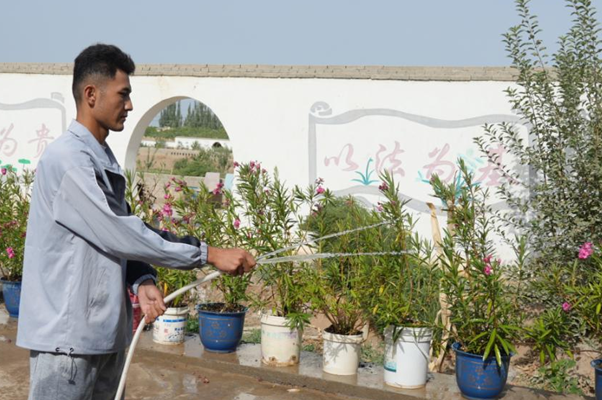 09251758798375750439.png 屏幕截图 2025-09-25 190536.png