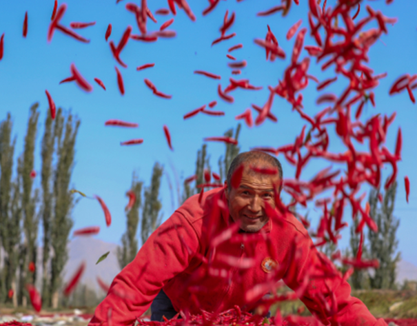 屏幕截图 2025-09-28 215902.png