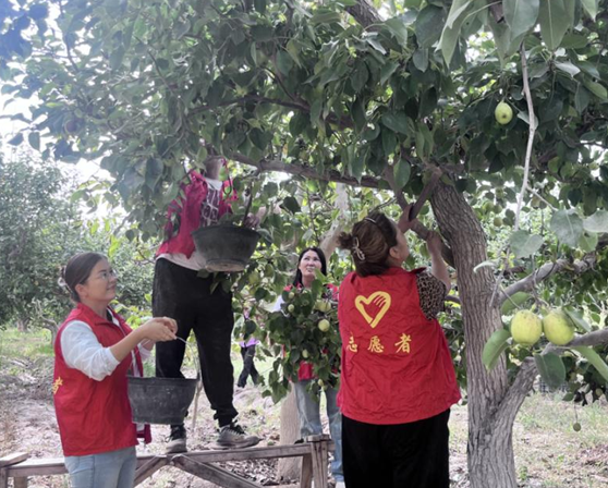 屏幕截图 2025-09-28 220334.png