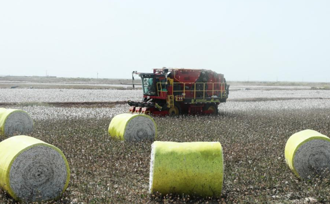 屏幕截图 2025-09-29 194540.png