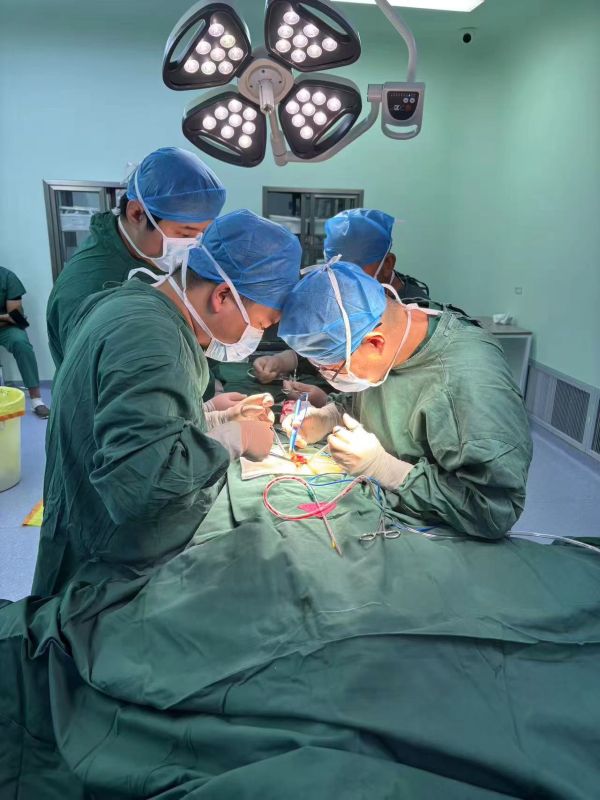 09291759149169202806.jpg 微信图片_20250929114816_42_13.jpg