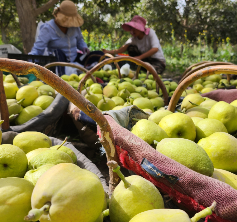 屏幕截图 2025-10-08 200540.png