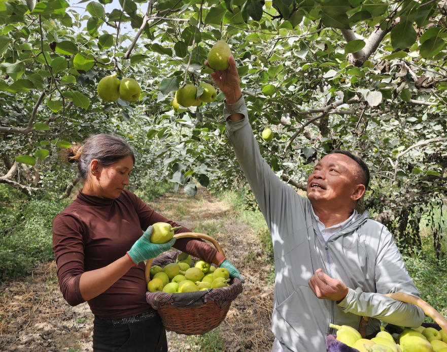 屏幕截图 2025-10-08 200543.png