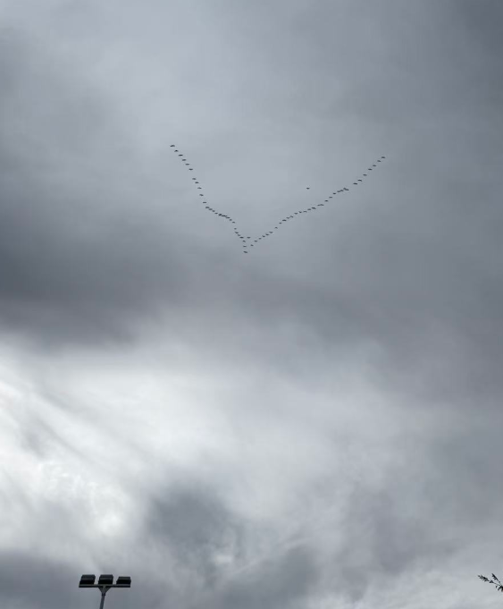 屏幕截图 2025-10-09 201228.png