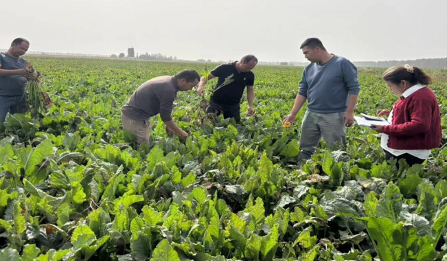 屏幕截图 2025-10-10 184726.png