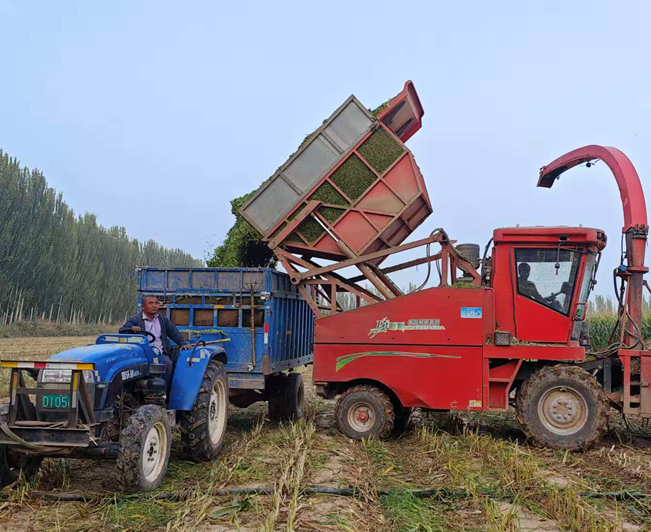 屏幕截图 2025-10-10 191419.png