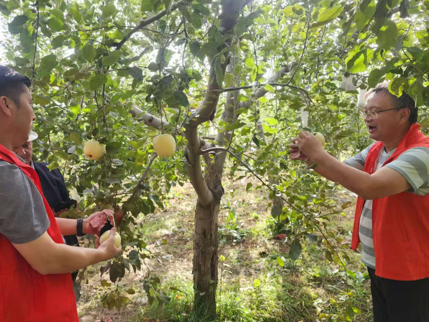 屏幕截图 2025-10-11 172419.png