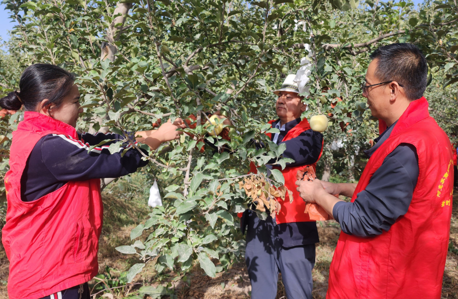 屏幕截图 2025-10-11 172422.png