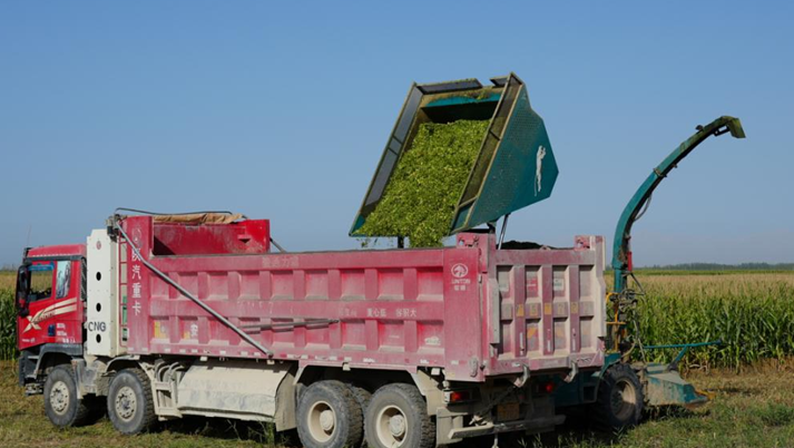 屏幕截图 2025-10-11 202204.png