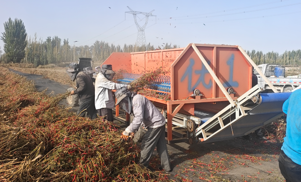 屏幕截图 2025-10-11 205223.png