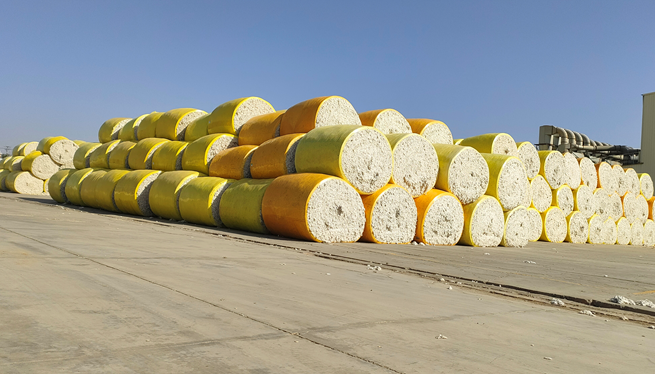 屏幕截图 2025-10-13 182439.png