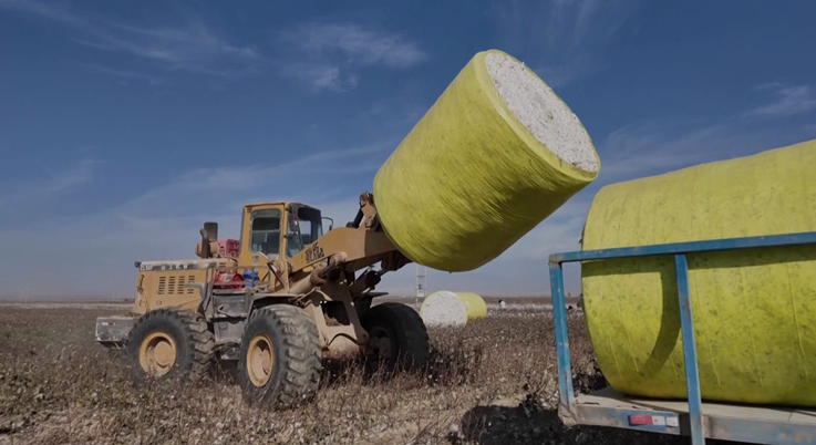 屏幕截图 2025-10-15 191603.png