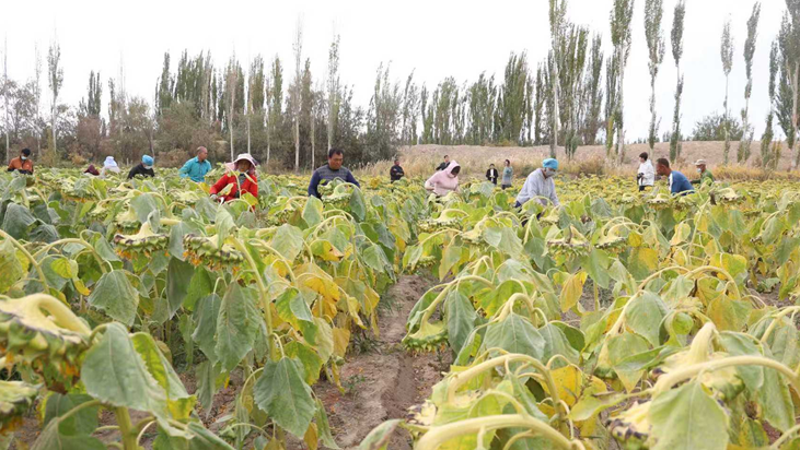 屏幕截图 2025-10-15 191651.png