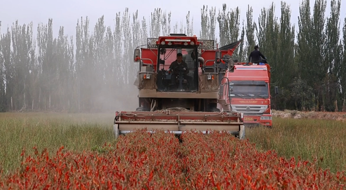 10151760527514163963.png 屏幕截图 2025-10-15 191932.png