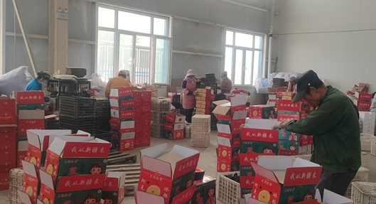 屏幕截图 2025-10-16 185753.png