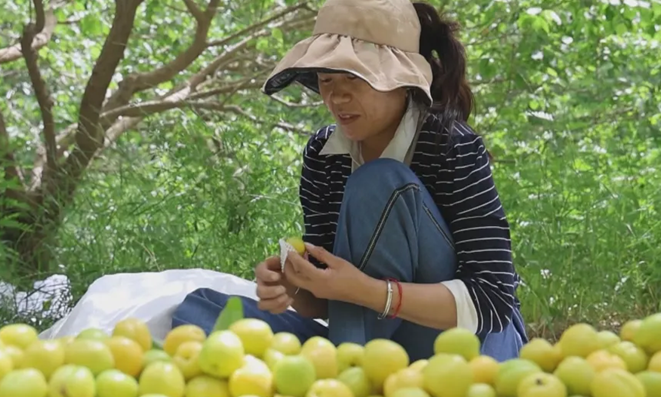 屏幕截图 2025-10-17 193901.png