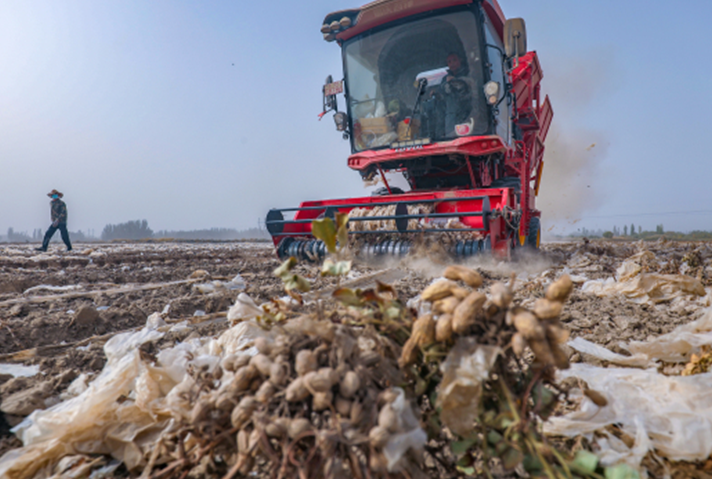 10171760701256552260.png 屏幕截图 2025-10-17 194015.png