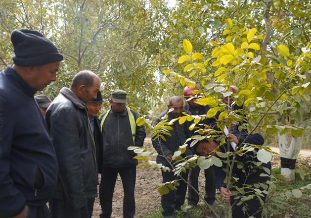 屏幕截图 2025-10-17 194615.png