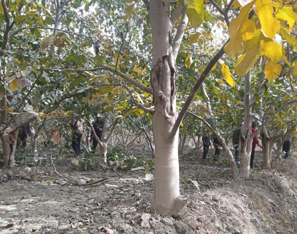 屏幕截图 2025-10-17 200743.png