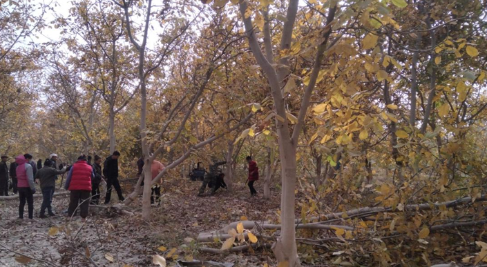 屏幕截图 2025-10-17 200747.png