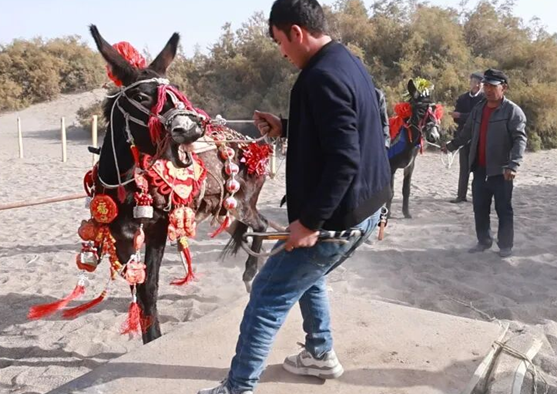 屏幕截图 2025-10-20 202220.png